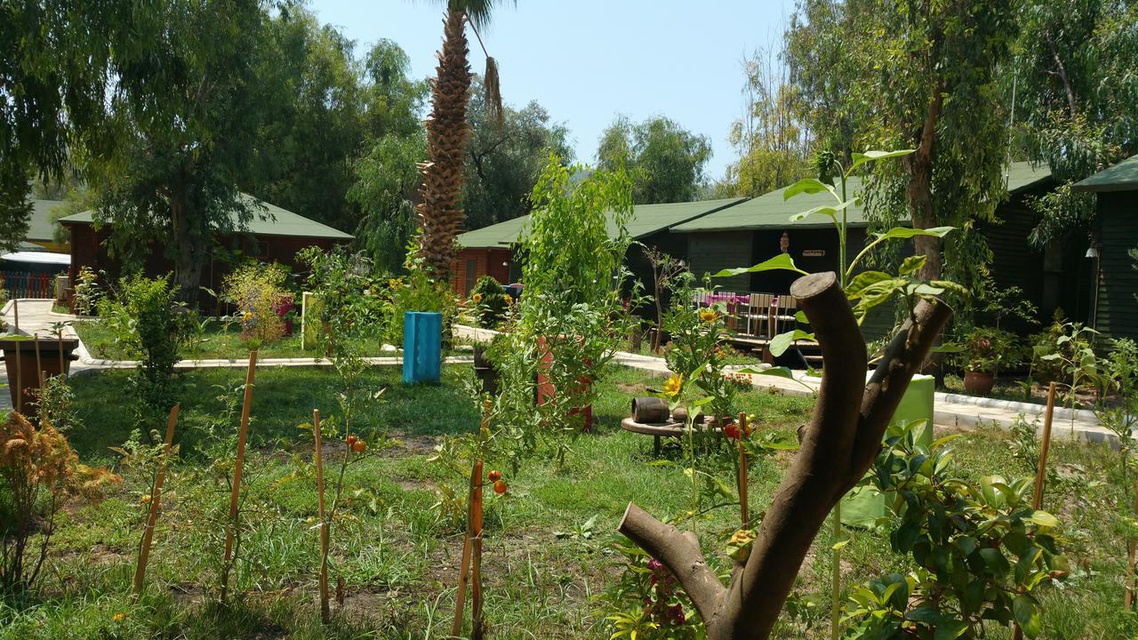 Oba Beach Hotel Öludeniz Exteriör bild